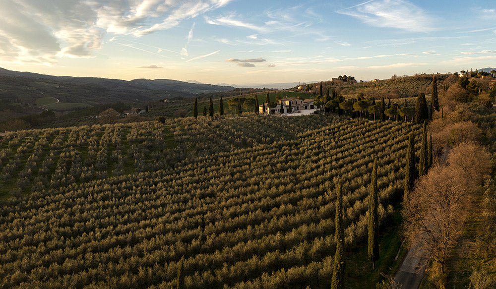 Tradizione e innovazione si incontrano al frantoio La Macina Rossa